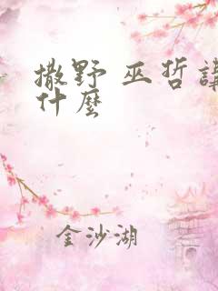 撒野 巫哲讲的什么