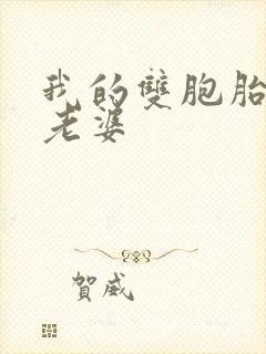 我的双胞胎美女老婆