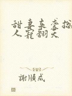 甜妻来袭总裁大人宠翻天