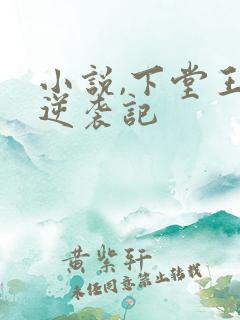 小说,下堂王妃逆袭记