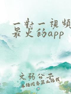 一对一视频聊天最火的app
