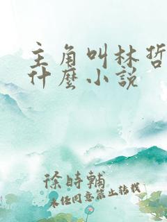 主角叫林哲的是什么小说