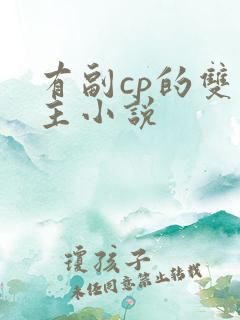 有副cp的双男主小说