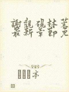 谢观砚林茉小说最新章节免费阅读全文