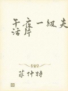 午夜一级夫妻生活片