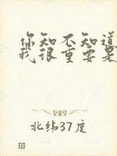 你知不知道你对我很重要是什么歌词