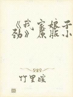 《我家娘子不对劲》原版小说
