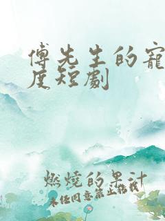 傅先生的宠妻无度短剧