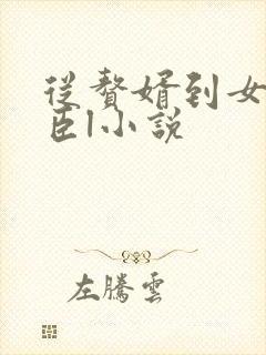 从赘婿到女帝宠臣l小说