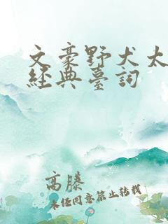 文豪野犬太宰治经典台词