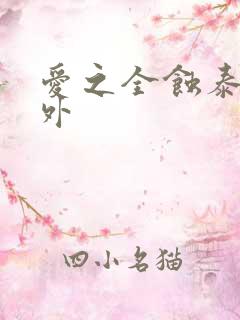 爱之全蚀泰剧番外