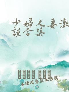 少妇人妻激情小说合集