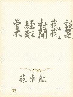 曾经对我说永远不离开我是什么歌