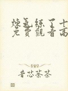 炼气练了十万年免费观看高清版