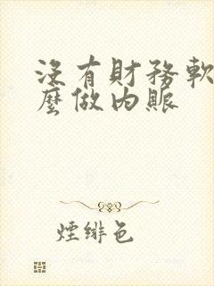 没有财务软件怎么做内账