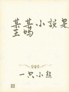 某某小说是双男主吗