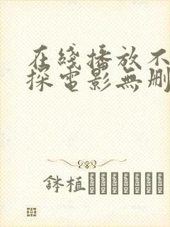 在线播放不二神探电影无删减