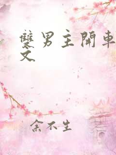 双男主开车的车文