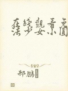 在线观看免费魔法少女小圆动画