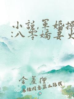 小说,军婚撩人:八零娇妻火辣辣