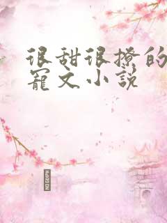 很甜很撩的校园宠文小说