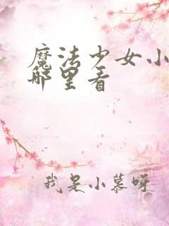 魔法少女小圆从哪里看