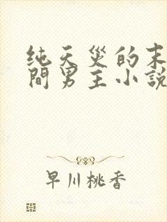 纯天灾的末世空间男主小说