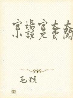 官场官太太后宫小说免费阅读全文