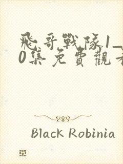 飞哥战队1_50集免费观看剧情