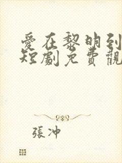 爱在黎明到来前短剧免费观看