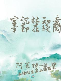 宫沉林知意最新章节在线阅读