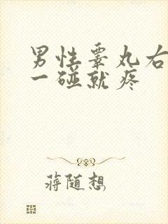 男性睾丸右边的一碰就疼