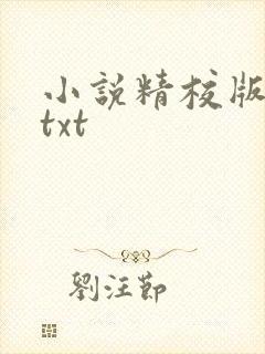 小说精校版全本txt