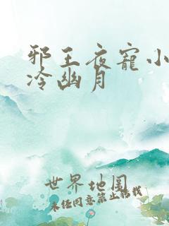 邪王夜宠小毒妃冷幽月