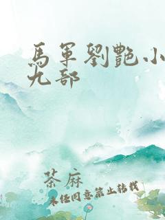 马军刘艳小说第九部