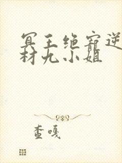 冥王绝宠逆天废材九小姐