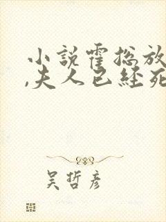 小说霍总放手吧,夫人已经死心了,