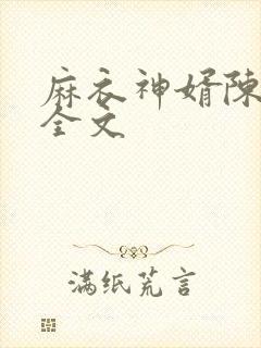 麻衣神婿陈黄皮全文