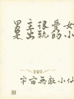 男主很爱女主但是出轨的小说