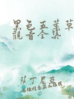 黑色五叶草免费观看全集