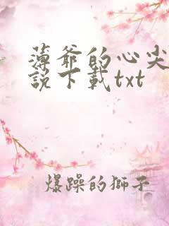 薄爷的心尖宠小说下载txt