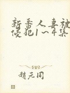 新番人妻被痴汉侵犯1～4集