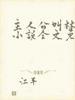 主人公叫林默的小说全文免费