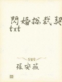 闪婚总裁契约妻txt