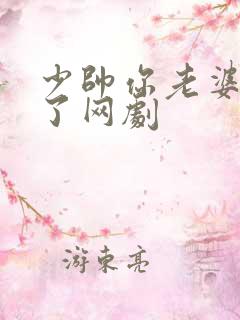 少帅你老婆又跑了网剧