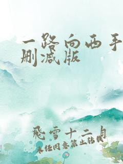 一路向西手机未删减版