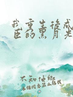 我重生后成了奸臣的黑月光