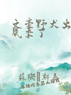 文豪野犬出到第几季了