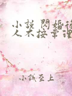 小说 闪婚后夫人不按常理出牌