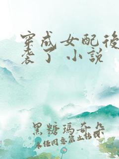 穿成女配后我逆袭了 小说